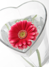 メゾンベールながら