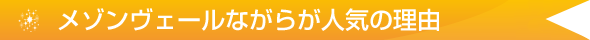 メゾンヴェールながらの魅力「人気の理由！」